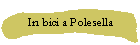 In bici a Polesella