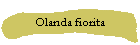 Olanda fiorita