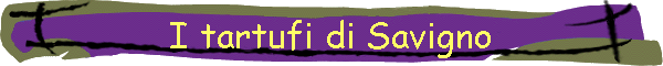 I tartufi di Savigno
