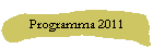 Programma 2011